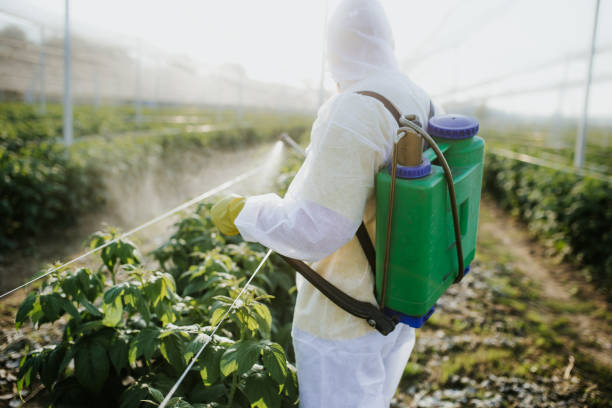 Best Pest Prevention Services  in Brooksi, DE